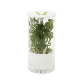 Glass Herb Preserver