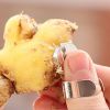 Kitchen Gadgets Creative Fruit Garlic Planer Chestnut Ginger Peeling Peeler